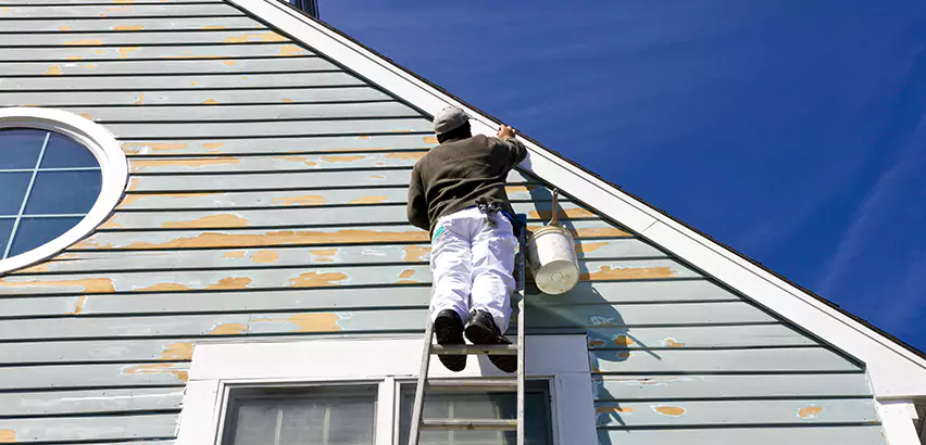 Professional Roof and Siding Repair Services in Berwyn, IL