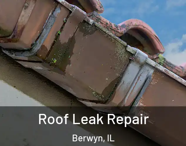  Roof Leak Repair Berwyn, IL