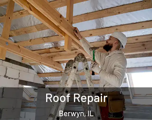  Roof Repair Berwyn, IL